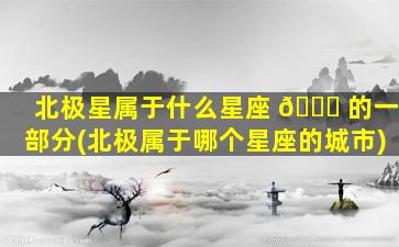 北极星属于什么星座 🐘 的一部分(北极属于哪个星座的城市)